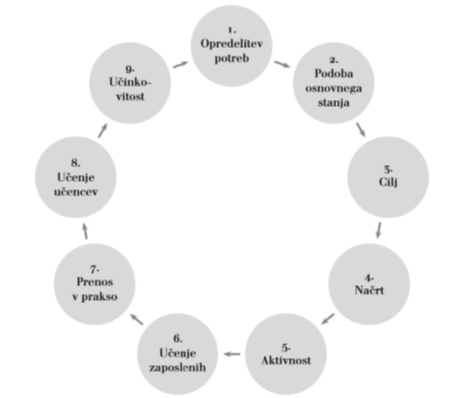 model cikla profesionalnega razvoja